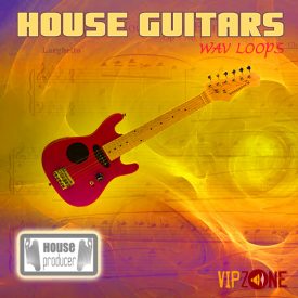 House Guitars Wav Loops