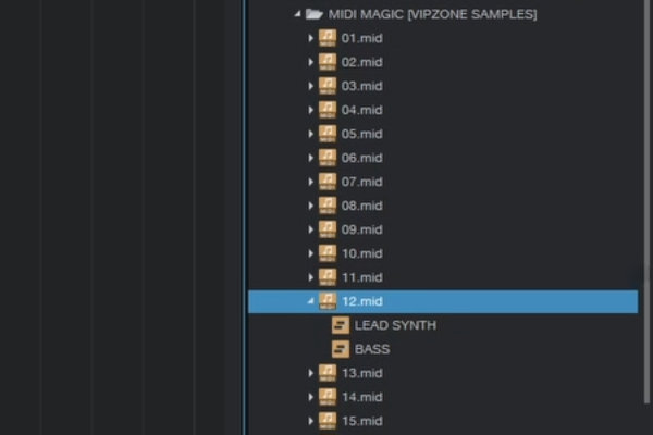 How to import Multi Midi Files